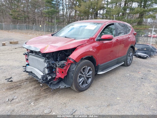 Honda Cr-v Awd Ex 2020 2HKRW2H50LH649399 Image 2
