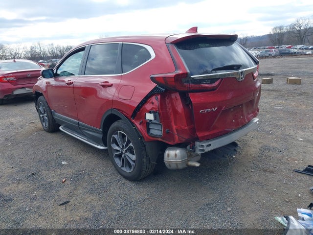 Honda Cr-v Awd Ex 2020 2HKRW2H50LH649399 Image 3