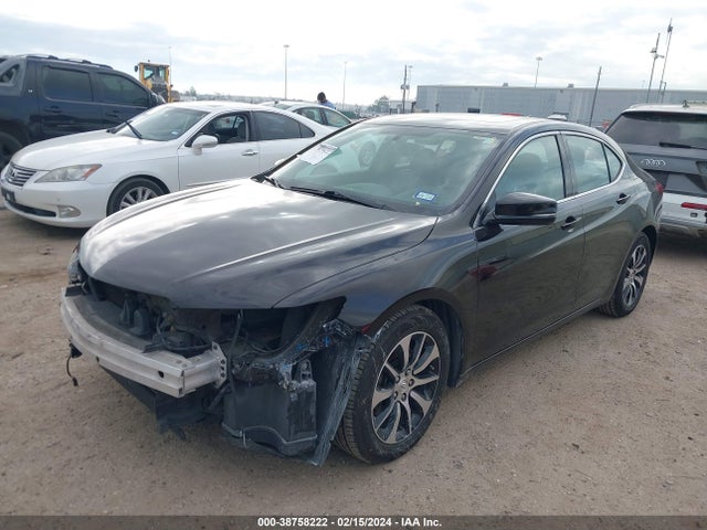 19UUB1F37FA013352 Acura TLX
