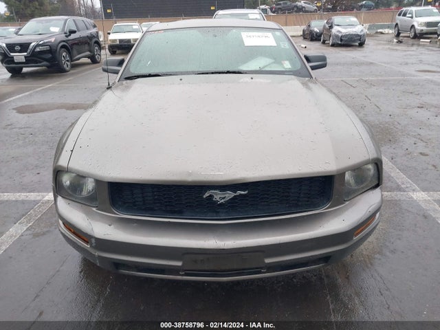 2005 FORD MUSTANG V6 DELUXE/V6 PREMIUM VIN: 1ZVFT80N255147388