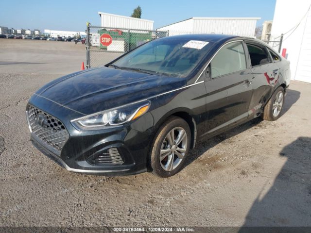 5NPE34AF1KH733932 Hyundai SONATA SEL