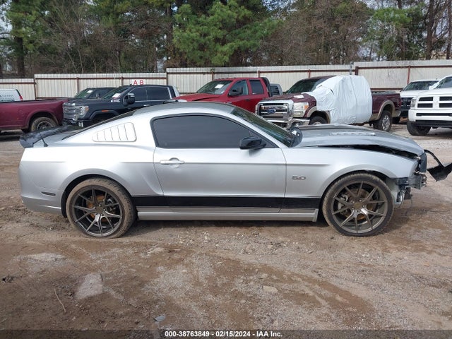 Ford MUSTANG GT 2014 1ZVBP8CF1E5263219 Image 14