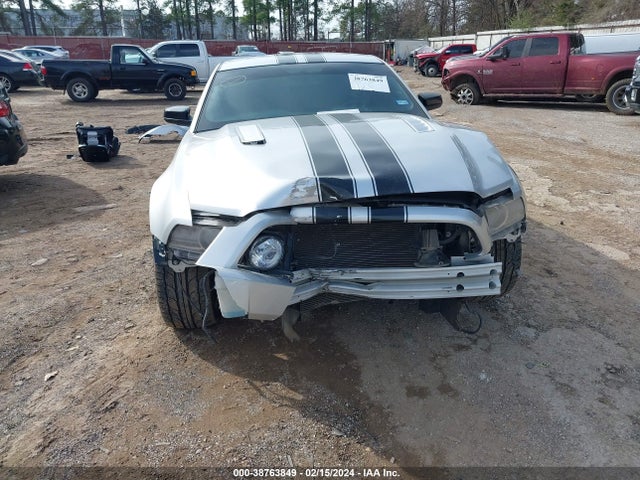 Ford MUSTANG GT 2014 1ZVBP8CF1E5263219 Image 20