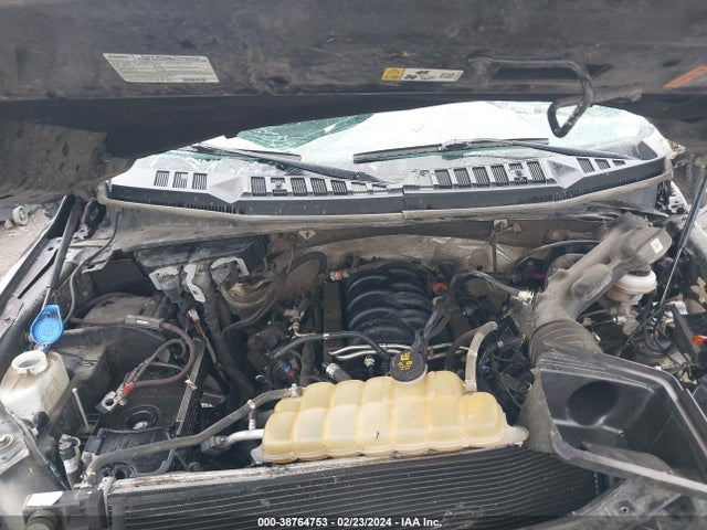 1FTEW1E55KKD48625 Ford F-150 Xlt