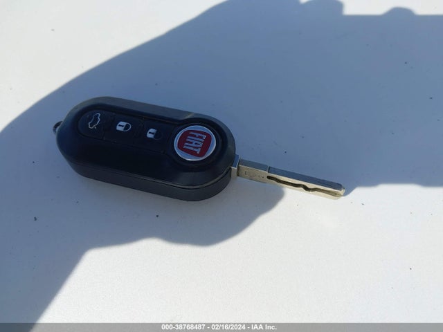 2014 FIAT 500E 3C3CFFGE8ET173022 Photo 10