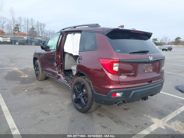 Honda Passport Elite 2019 5FNYF8H01KB010156 Image 3