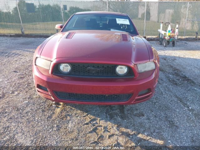 1ZVBP8CF0E5209779 Ford Mustang Gt Premium