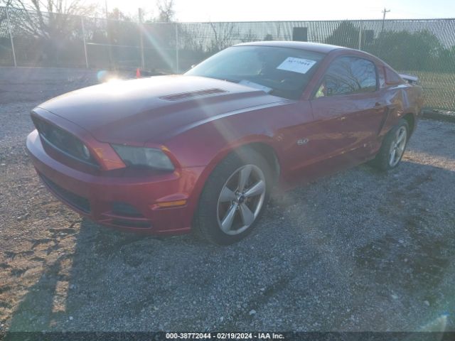 1ZVBP8CF0E5209779 Ford Mustang Gt Premium