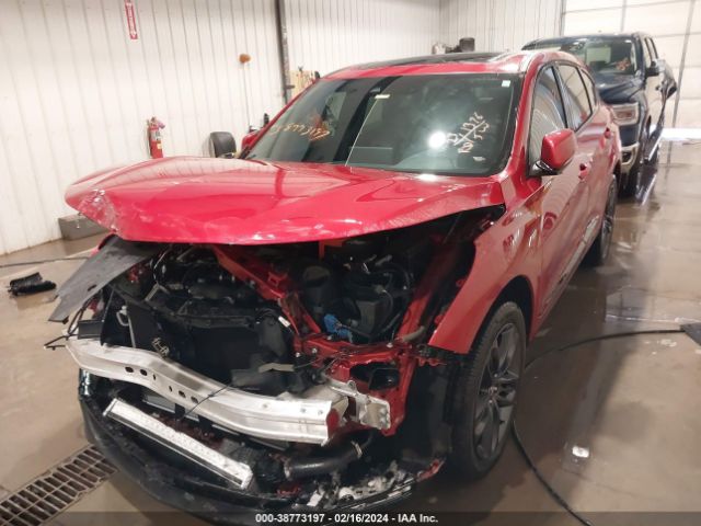5J8TC2H66PL013273 Acura Rdx A-spec Package