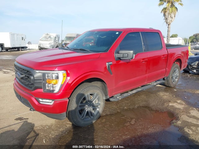 Ford F-150 Xlt 2021 1FTEW1EP1MFD05896 Image 2