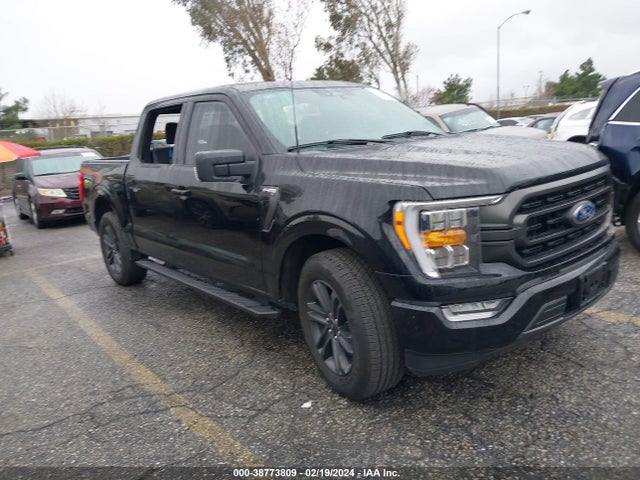 2023 FORD F-150 XLT VIN: 1FTEW1CP6PKE70891