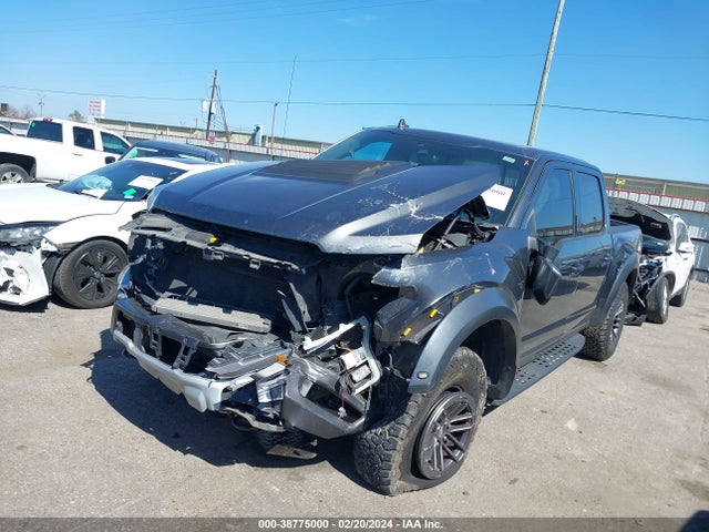 Ford F150 Raptor 2019 1FTFW1RG3KFB95753 Image 2