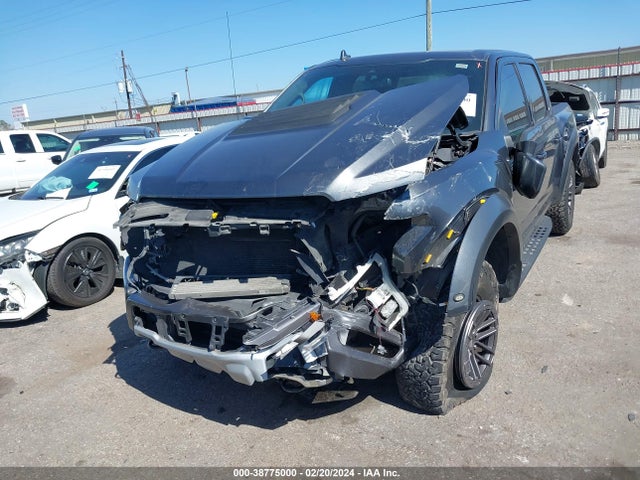 Ford F150 Raptor 2019 1FTFW1RG3KFB95753 Image 6