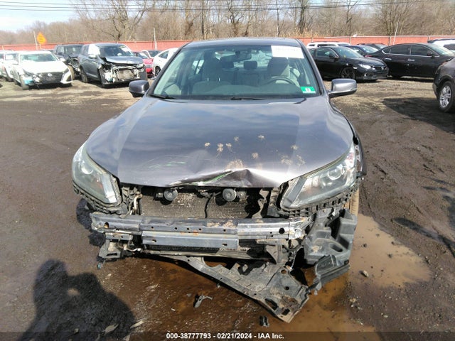 Honda ACCORD EX 2014 1HGCR2F7XEA123603 Image 12