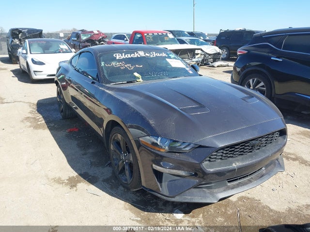 Ford Mustang Ecoboost Premium Fastback 2023 1FA6P8TH3P5100652 Image 1