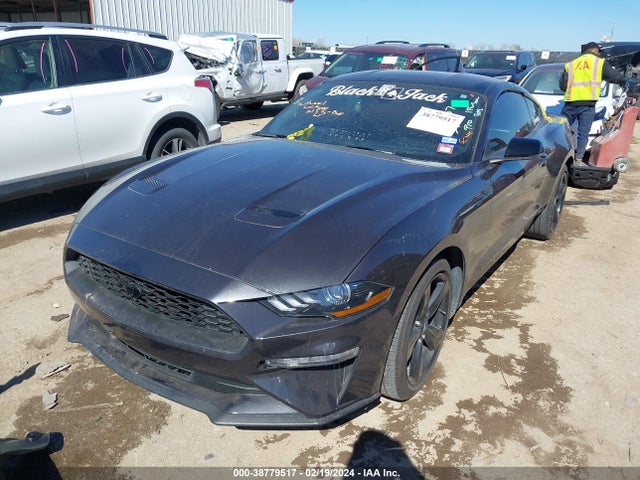 Ford Mustang Ecoboost Premium Fastback 2023 1FA6P8TH3P5100652 Image 2