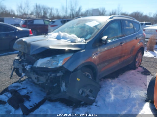 Ford Escape Titanium 2014 1FMCU0J91EUD73915 Image 2