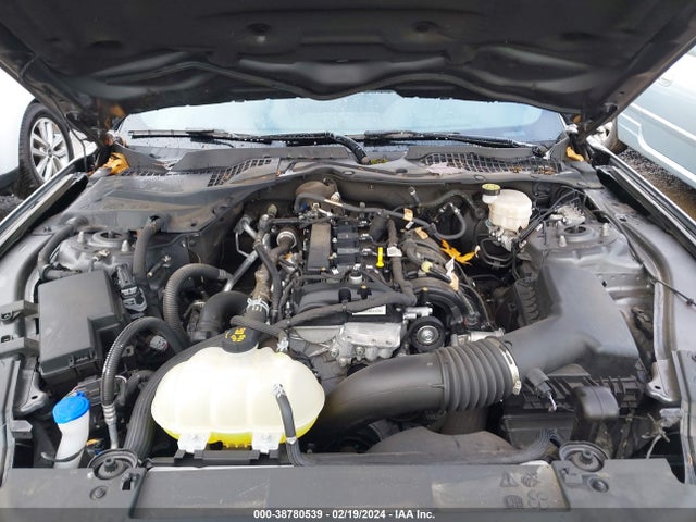 Ford Mustang Ecoboost Fastback 2021 1FA6P8TH5M5150528 Image 10