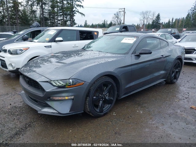 Ford Mustang Ecoboost Fastback 2021 1FA6P8TH5M5150528 Image 2