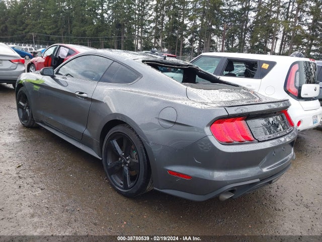 Ford Mustang Ecoboost Fastback 2021 1FA6P8TH5M5150528 Image 3