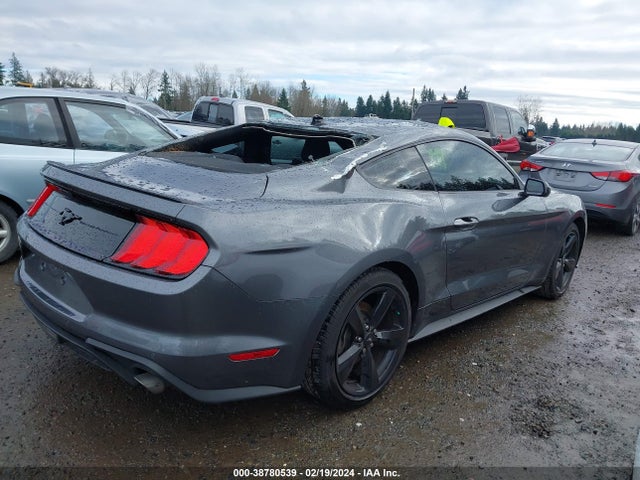 Ford Mustang Ecoboost Fastback 2021 1FA6P8TH5M5150528 Image 4