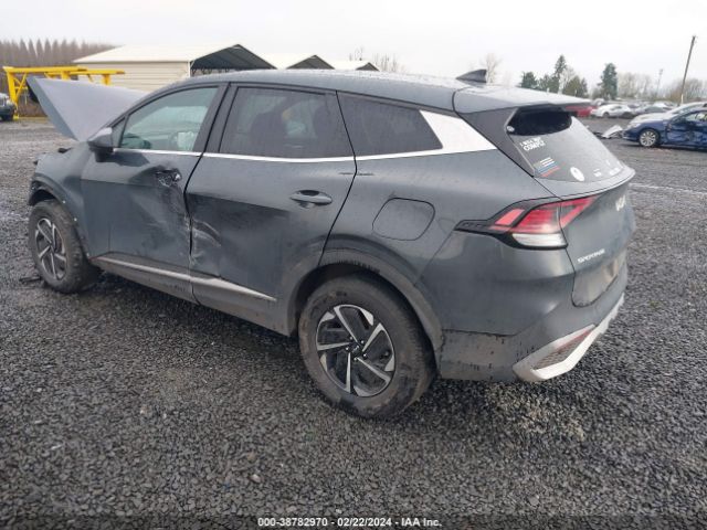 KNDPUCAG0P7017429 KIA Sportage Hybrid Lx