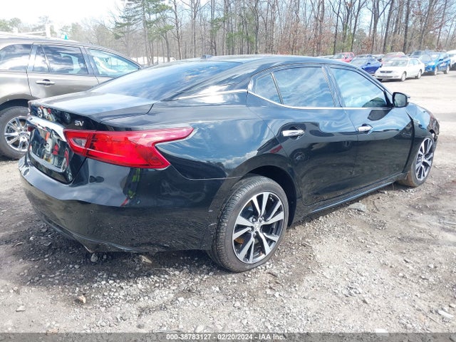 Nissan Maxima 3.5 Sv 2016 1N4AA6AP4GC414140 Image 4