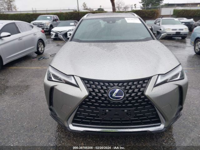 JTHX9JBH9M2053821 Lexus UX 250H