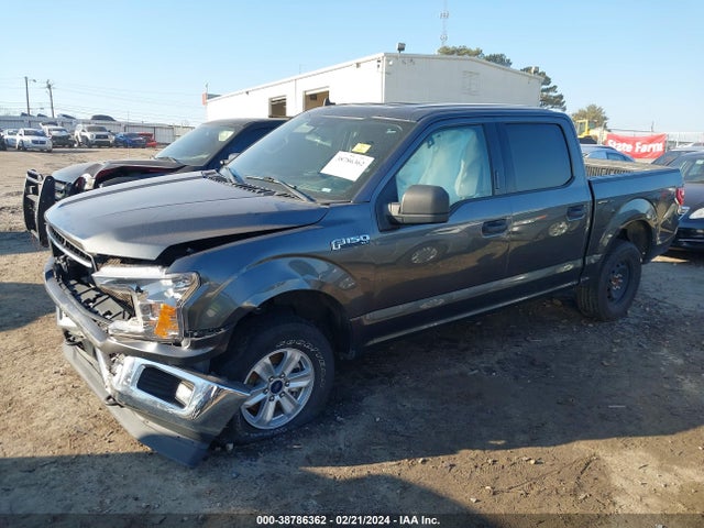 1FTEW1E44LFA96318 Ford F-150 Xlt