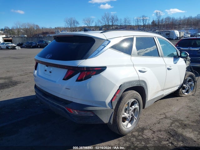 Hyundai TUCSON SEL 2024 5NMJBCDE5RH332003 Image 4