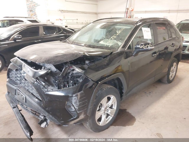 Toyota Rav4 Xle 2021 2T3P1RFV9MC182464 Image 2