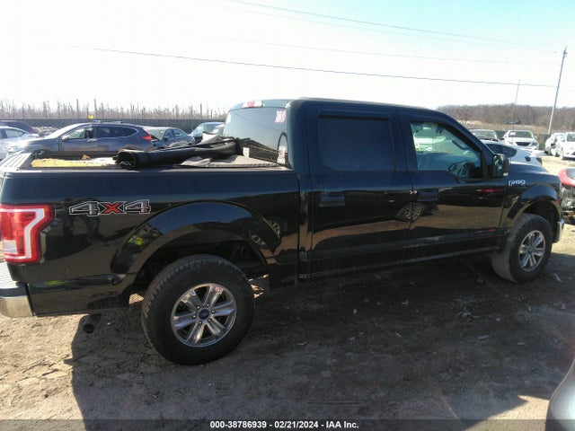 2015 FORD F-150 XLT VIN: 1FTEW1EF6FFB51163