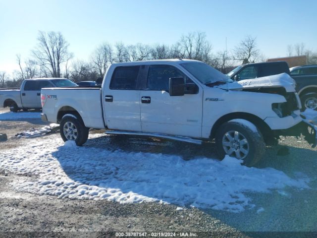 1FTFW1ET7EFB20903 Ford F-150 Xlt