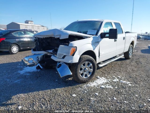 1FTFW1ET7EFB20903 Ford F-150 Xlt