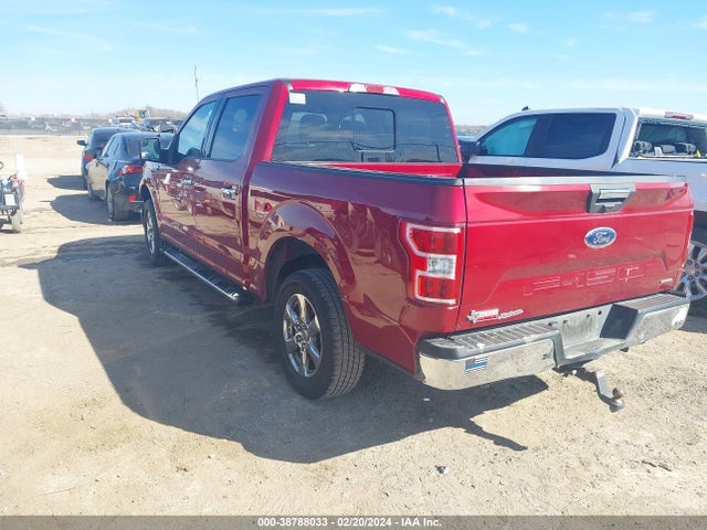 Ford F-150 Xlt 2019 1FTEW1CP4KKE91960 Image 3