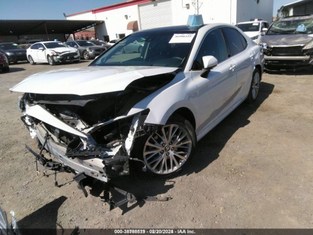 4T1BZ1HK9JU004922 Toyota Camry Xle V6