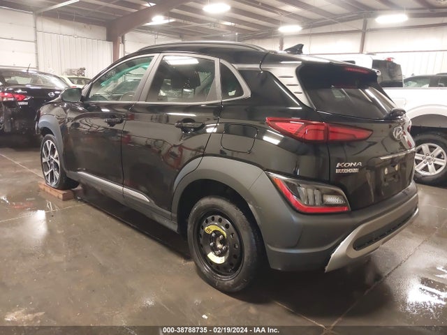 Hyundai Kona Limited 2023 KM8K53A30PU996435 Image 3