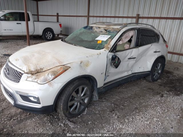 JN1BJ0RP6GM230203 Infiniti QX50