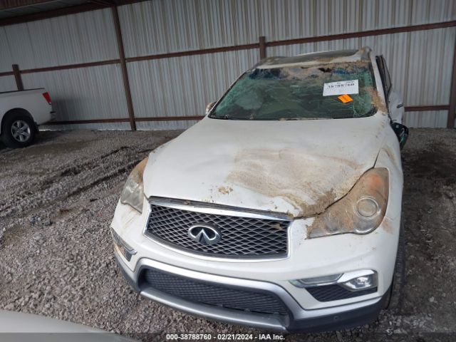JN1BJ0RP6GM230203 Infiniti QX50