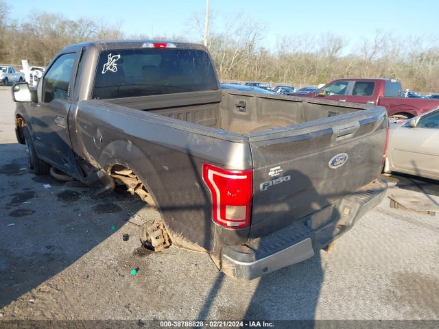 Ford F-150 Xlt 2015 1FTMF1EP6FFB49000 Image 3