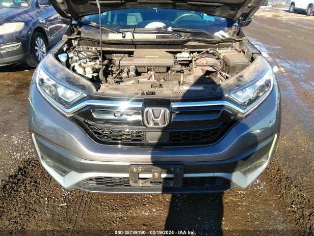 Honda Cr-v Awd Ex-l 2021 5J6RW2H80MA005012 Image 10