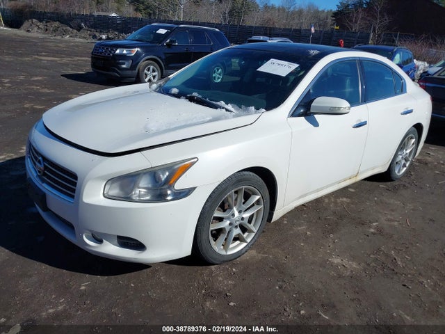 2011 NISSAN MAXIMA 3.5 SV VIN: 1N4AA5AP1BC807371