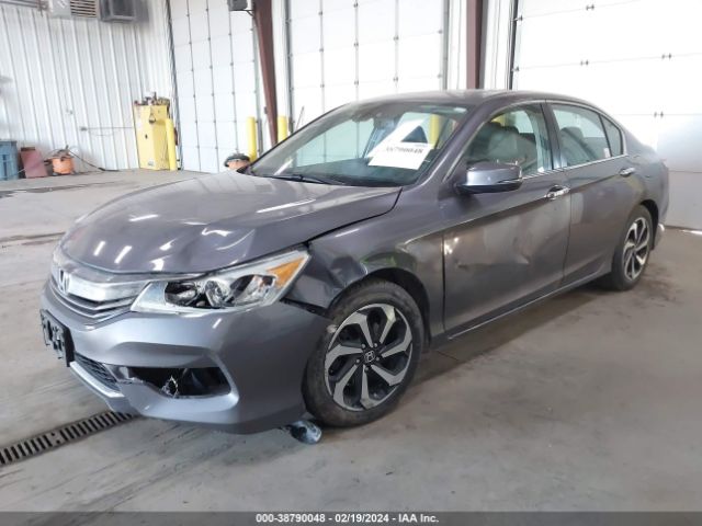 1HGCR2F91GA012152 Honda Accord Ex-l