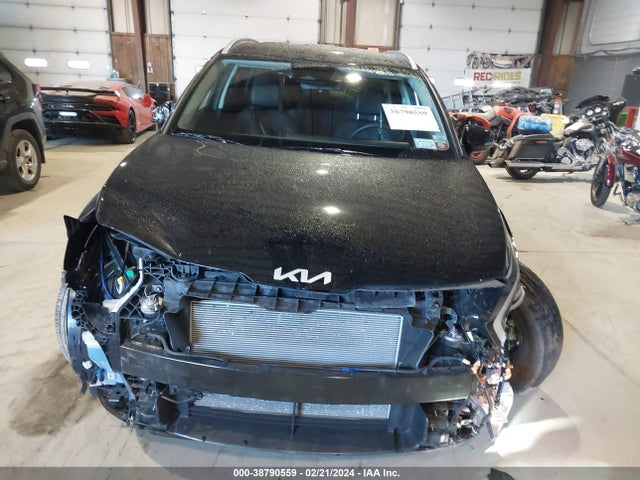 KIA Sportage Ex 2023 5XYK3CAF9PG122042 Image 12