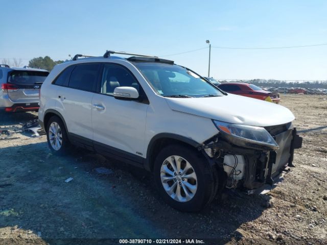 2014 Kia Sorento Ex V6 მანქანა იყიდება აუქციონზე, vin: 5XYKUDA77EG498036, აუქციონის ნომერი: 38790710