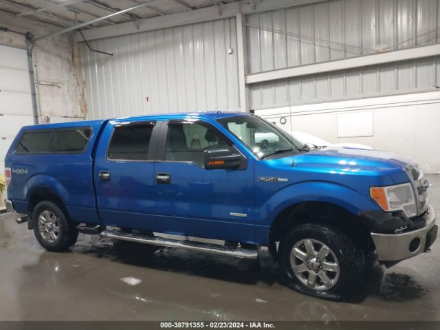 1FTFW1ET2EFB17729 Ford F-150 Xlt
