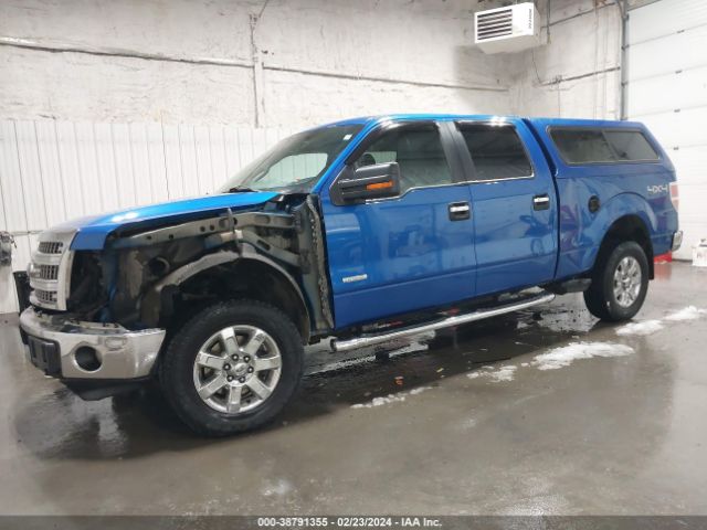 1FTFW1ET2EFB17729 Ford F-150 Xlt