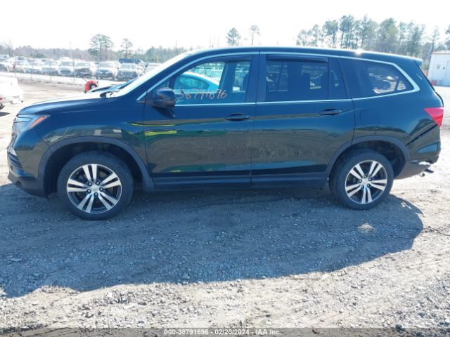 5FNYF6H55GB011284 Honda Pilot Ex-l