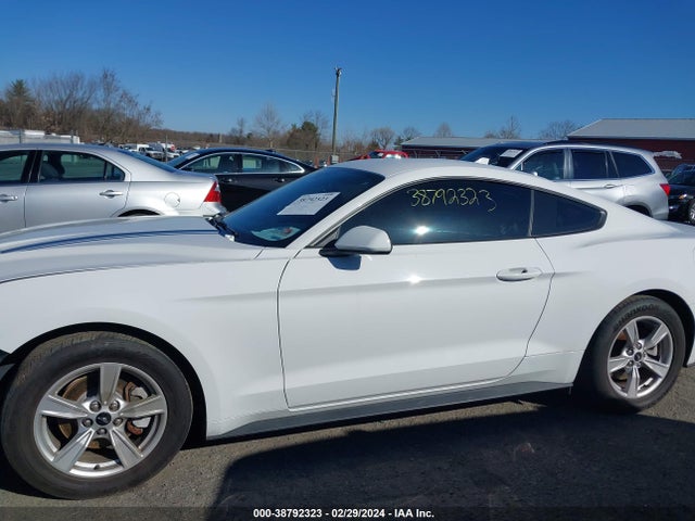 Ford Mustang Ecoboost Fastback 2020 1FA6P8TH8L5178404 Image 14
