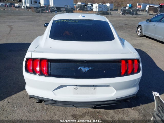 Ford Mustang Ecoboost Fastback 2020 1FA6P8TH8L5178404 Image 16